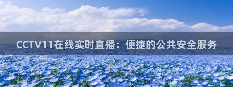 鲸鱼直播官网：CCTV11在线实时直播：便捷的公共安全服务