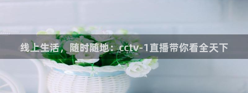 鲸鱼体育高清直播