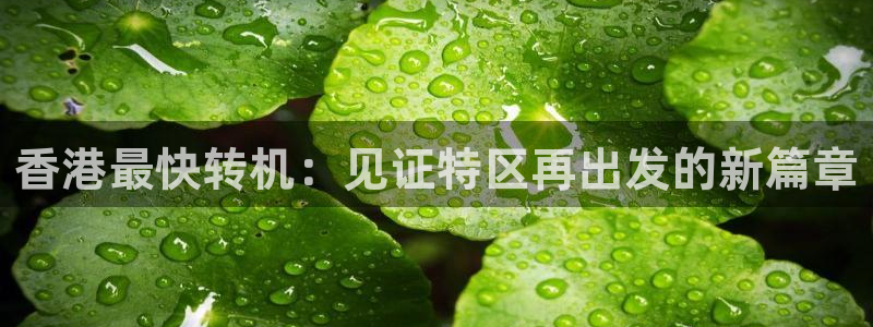 鲸鱼体育怎么免费看：香港最快转机：见证特区再出发的新篇章