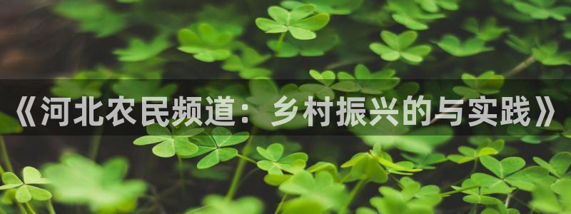 nba鲸鱼体育