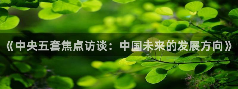 鲸鱼体育直播在线观看：《中央五套焦点访谈：中国未来的发展方向》