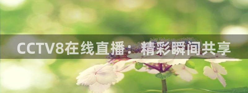鲸鱼体育直播下载：CCTV8在线直播：精彩瞬间共享