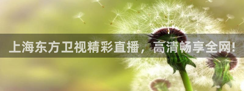 鲸鱼篮球直播：上海东方卫视精彩直播，高清畅享全网!