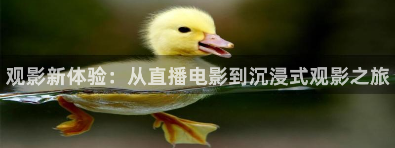 鲸鱼体育在线直播免费