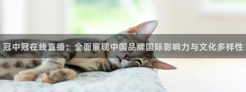 鲸鱼体育直播在线观看免费：冠中冠在线直播：全面展现中国品牌国际影响力与文化多样性
