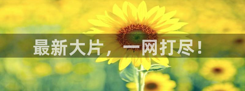 鲸鱼体育tv版下载：最新大片，一网打尽！