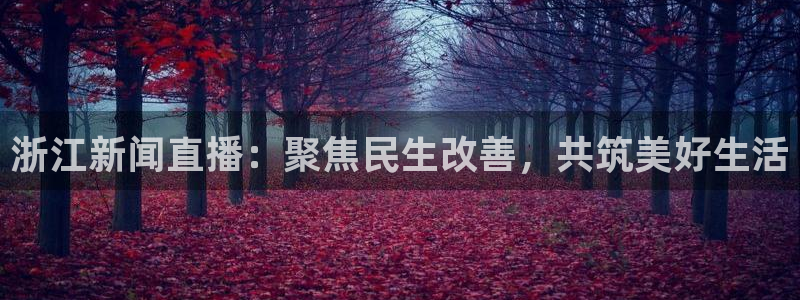 鲸鱼直播：浙江新闻直播：聚焦民生改善，共筑美好生活