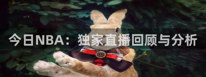 jytv01鲸鱼体育直播