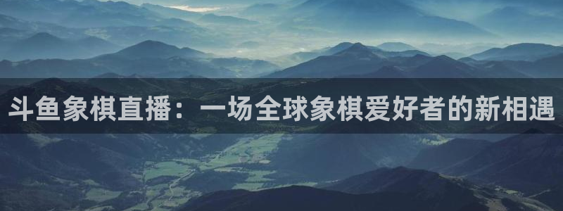 鲸鱼足球直播