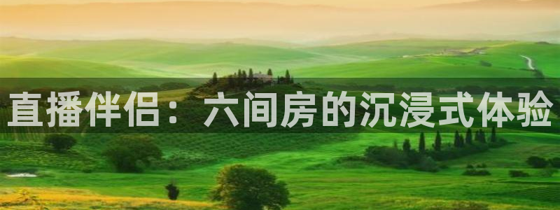 鲸鱼体育官网：直播伴侣：六间房的沉浸式体验