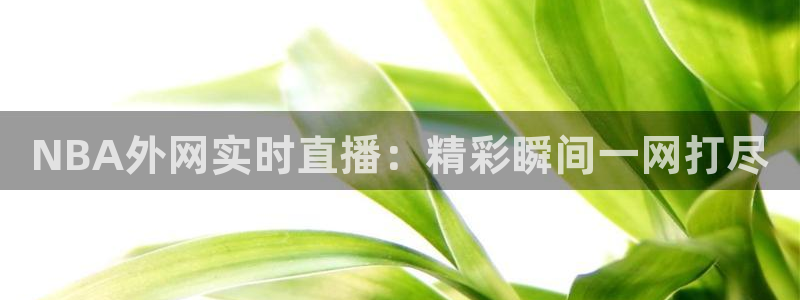 鲸鱼体育头狼直播间